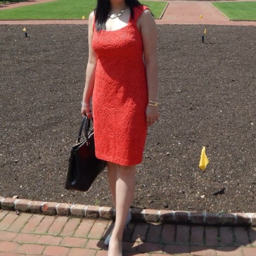 Stunning Red rose net dress
